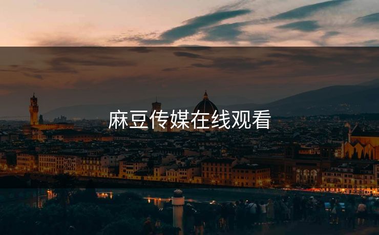 麻豆传媒在线观看